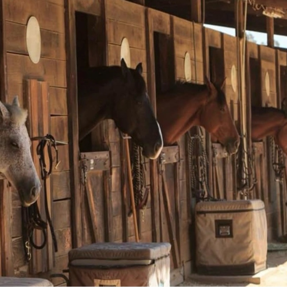 Farm County village vinyl background size 7x5 ft
